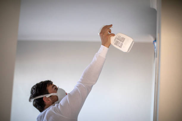 Best Black Mold Removal  in East Glenville, NY
