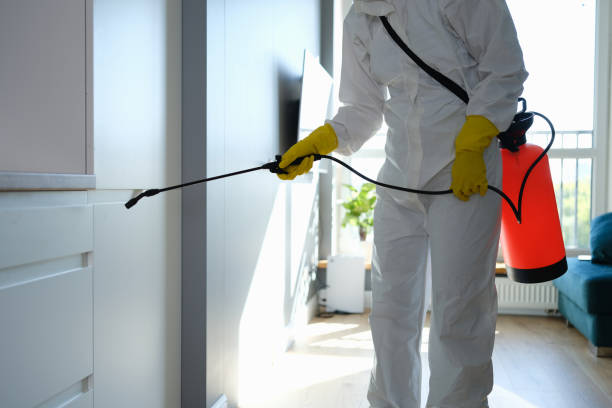 Best Professional Mold Removal  in East Glenville, NY